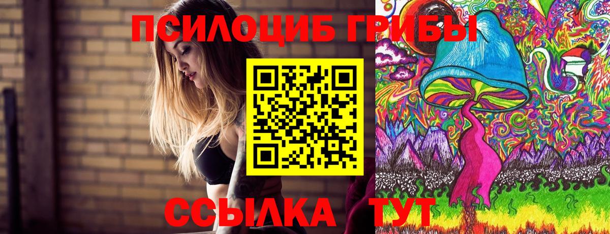 Галлюциногенные грибы мухоморы  Псилоцибиновые грибы Psilocybine cubensis  Вход с VPN  Ленинск-Кузнецкий 