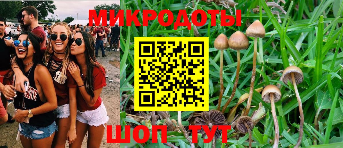 Псилоцибиновые грибы Magic Shrooms Ленинск-Кузнецкий